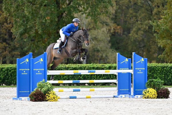 QUBIC VAN'T HUKA Z - Brother to 1m60 jumper KEENELAND QUBIC VAN'T HUKA Z - Brother to 1m60 jumper KEENELAND